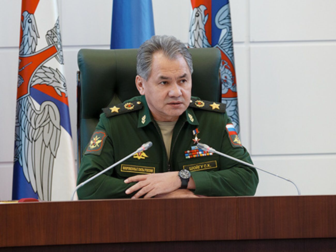 Шойгу: С начала года в Южном военном округе сформировано более полутора десятков соединений и воинских частей