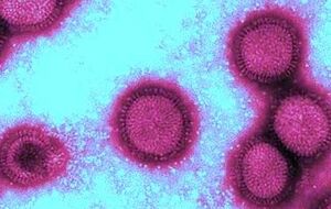 В Киеве лабораторно подтвержден первый случай смерти от гриппа в нынешнем эпидсезоне