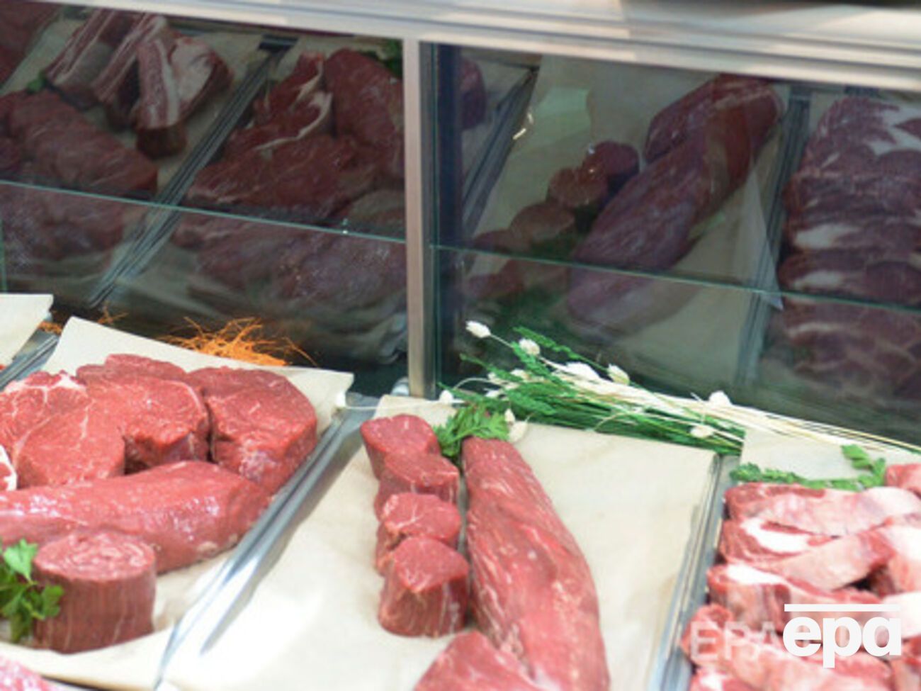 СБУ не дала ввезти в Украину 200 тонн некачественного мяса, рыбы и молочной продукции