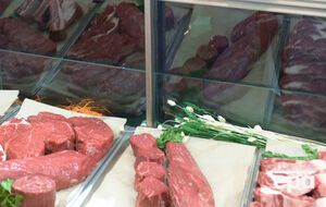 СБУ не дала ввезти в Украину 200 тонн некачественного мяса, рыбы и молочной продукции