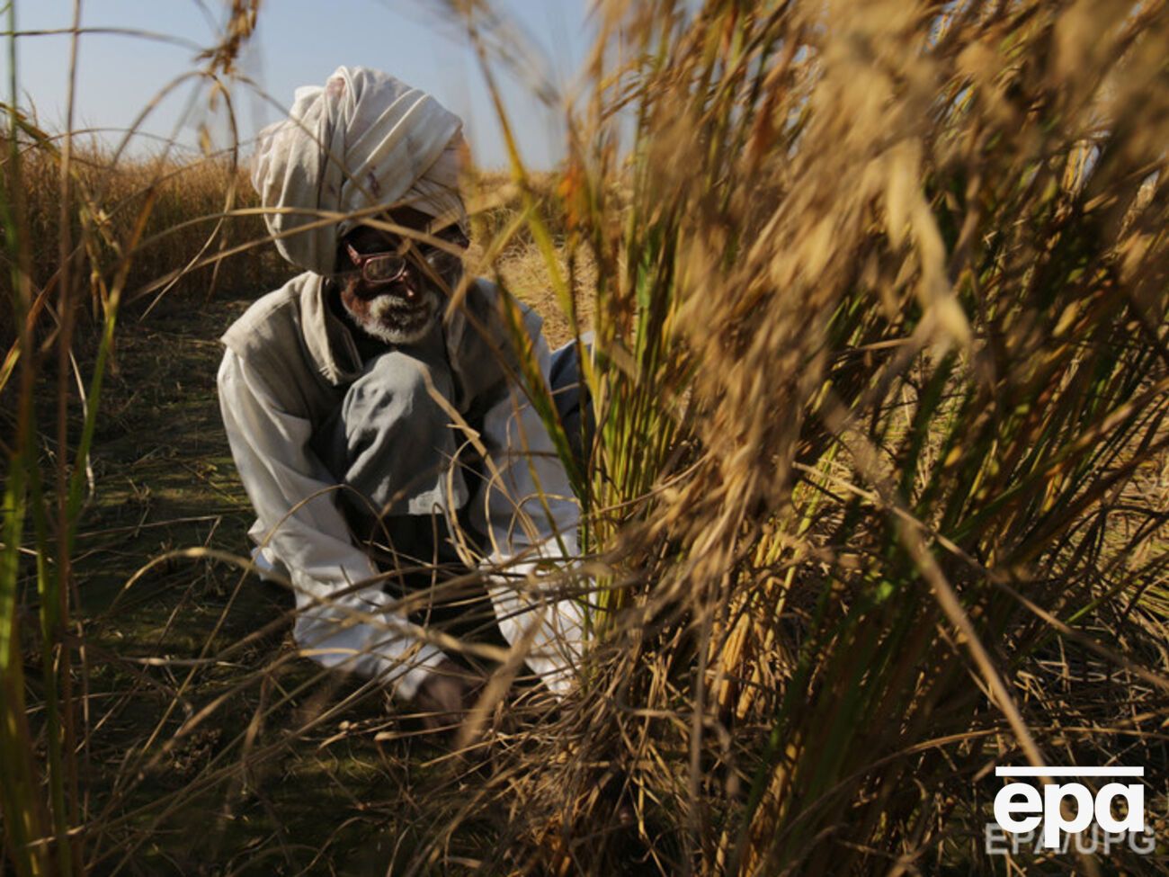 В мире пропадает&nbsp;около 1,3 миллиарда тонн продуктов в год
