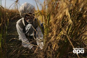 В мире пропадает около 1,3 миллиарда тонн продуктов в год