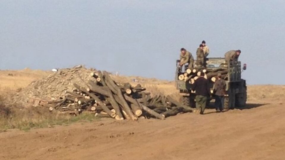 Бойцы АТО заготавливают лес самостоятельно