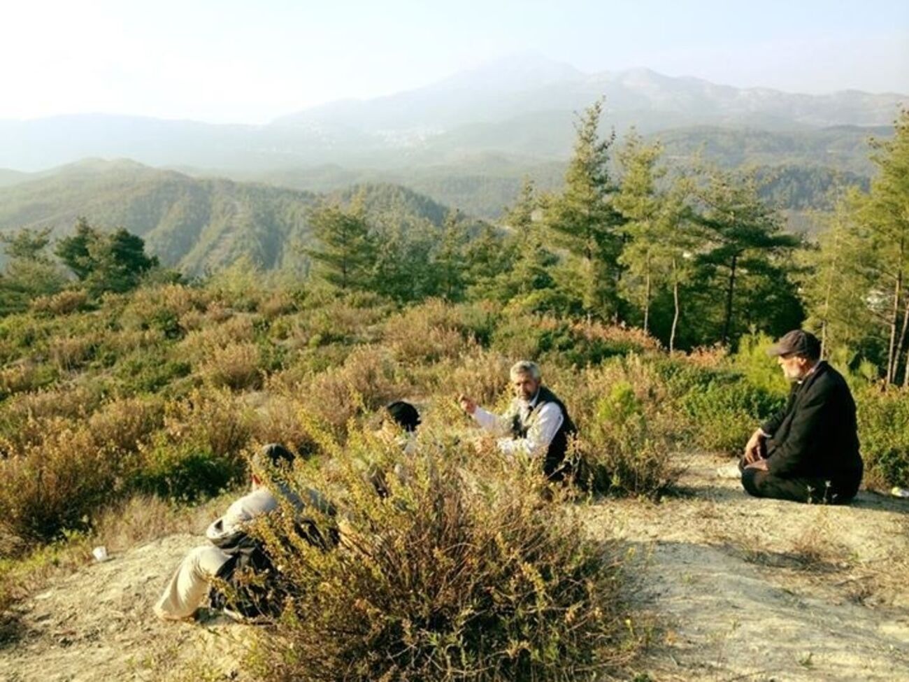 Наблюдательный пункт сирийских туркманов