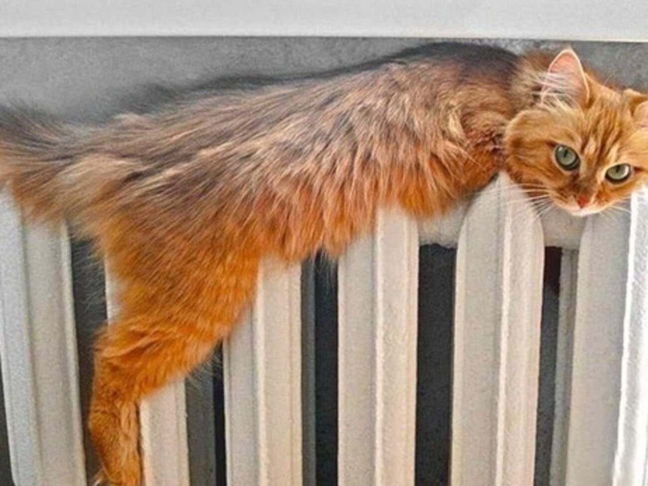 В Севастополе на утро 30 ноября включение отопления приостановлено