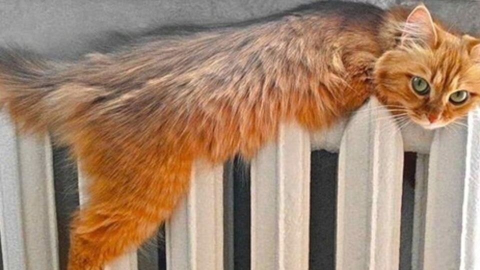 В Севастополе на утро 30 ноября включение отопления приостановлено