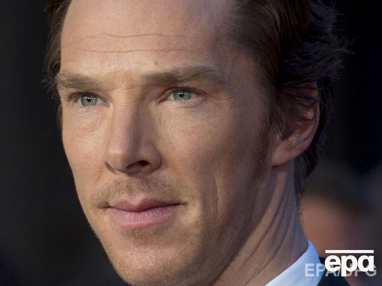 Камбербэтч повторил выражение лица выдры