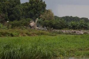 Недалеко от столицы Южного Судана потерпел крушение самолет