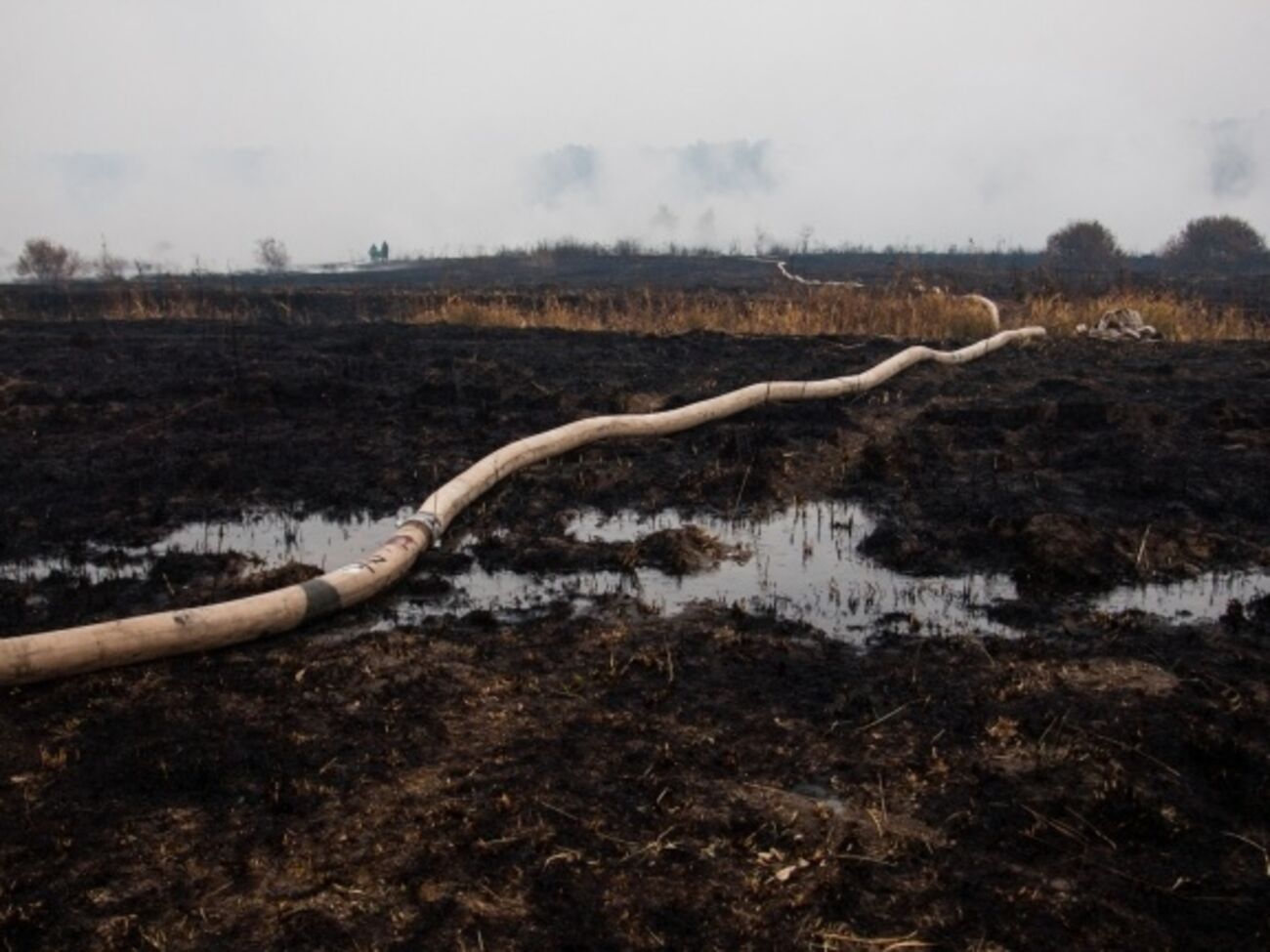 Площадь тления торфа значительно уменьшилась в Киевской области, в Полтавской &ndash; пока незначительно