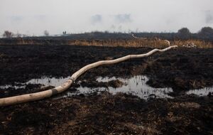Площадь тления торфа значительно уменьшилась в Киевской области, в Полтавской – пока незначительно