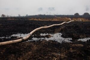 Площадь тления торфа значительно уменьшилась в Киевской области, в Полтавской – пока незначительно