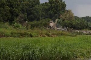 В аварии погиб 41 человек, пишут СМИ