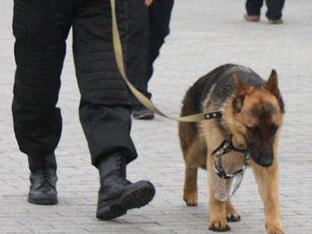 Харьковскую обладминистрацию "минируют" регулярно