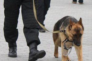 Харьковскую обладминистрацию "минируют" регулярно