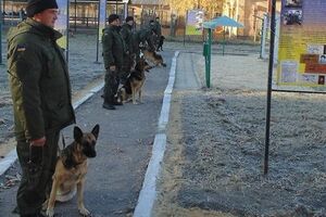 Нацгвардия: В Шостке проведен строевой смотр служебных собак. Фоторепортаж
