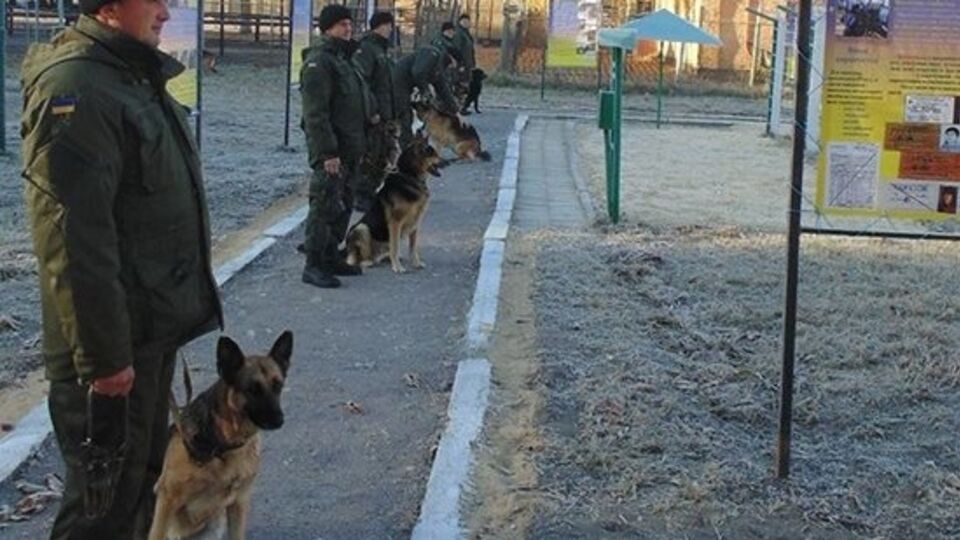 Нацгвардия: В Шостке проведен строевой смотр служебных собак. Фоторепортаж