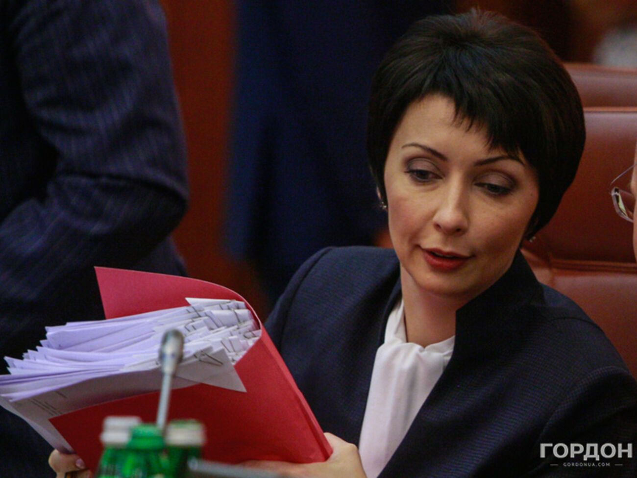 Лукаш: В стране, декларирующей движение в сторону евроинтеграции, исследовать адаптацию законов к европейским было нельзя