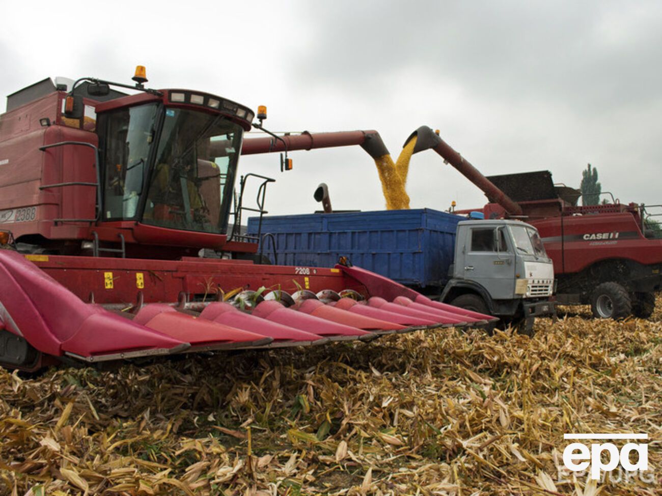 Министр АПК: С 1 января для украинской продукции откроются границы для поставок "в европейские супермаркеты"