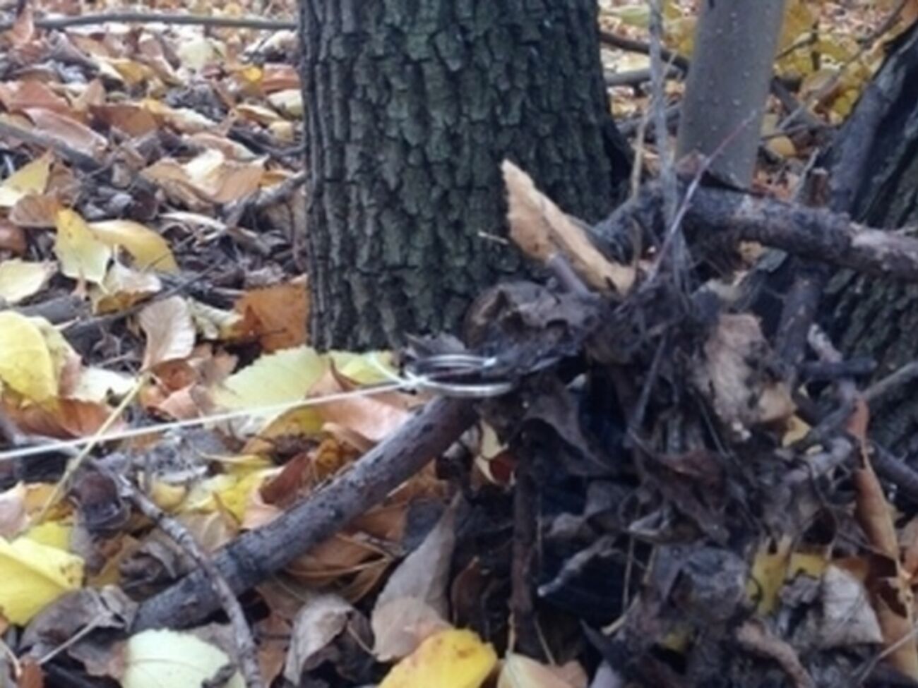 Предположительно, бойцы подорвались на растяжке