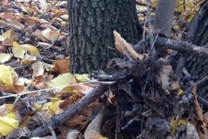 Предположительно, бойцы подорвались на растяжке