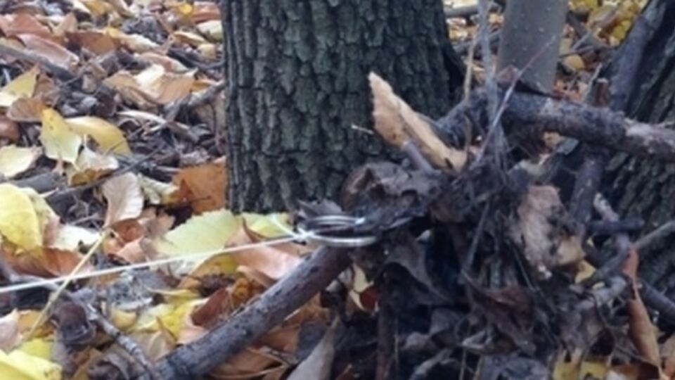 Предположительно, бойцы подорвались на растяжке