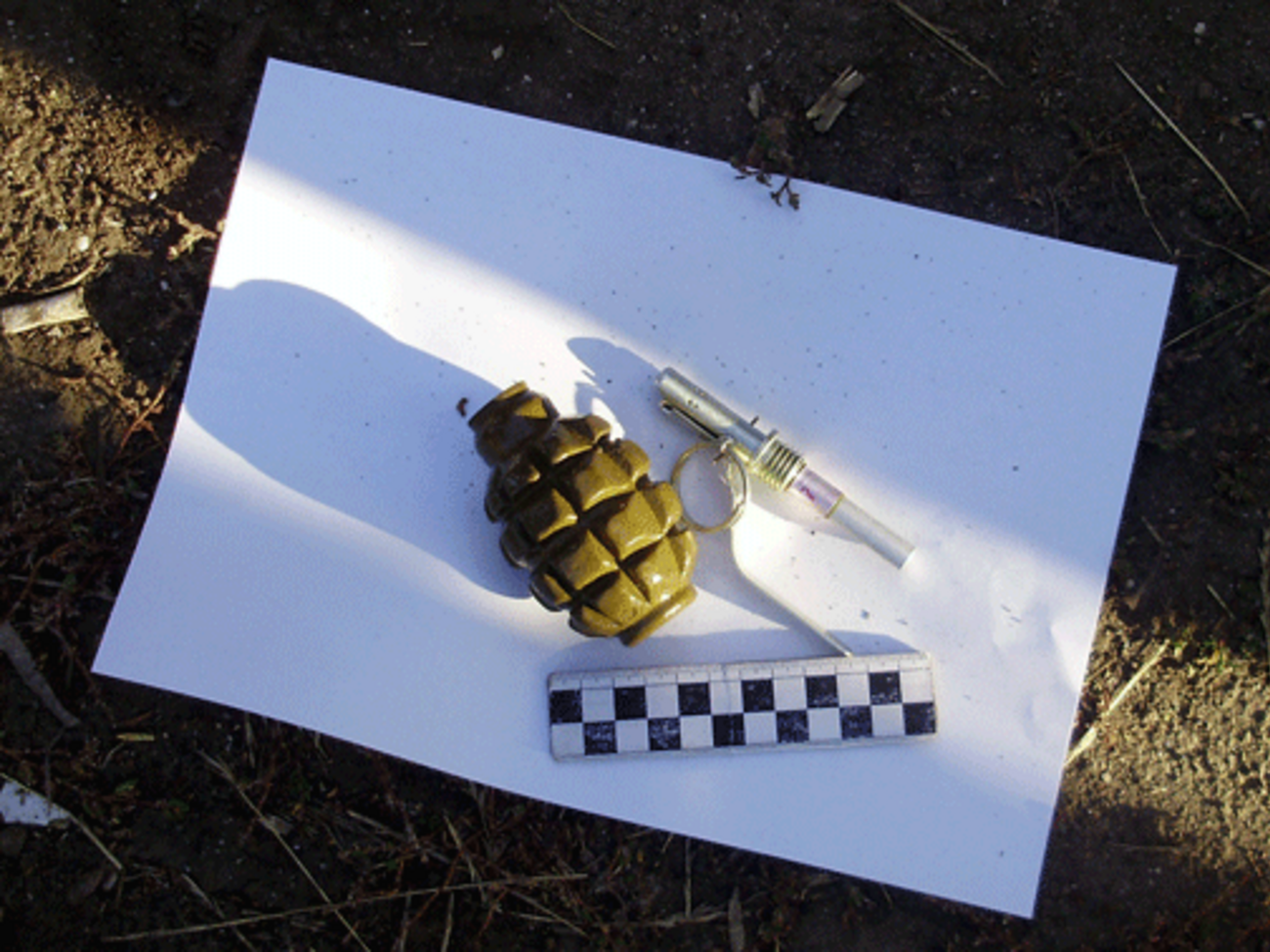 Во двор адвокату бросили гранаты Ф-1