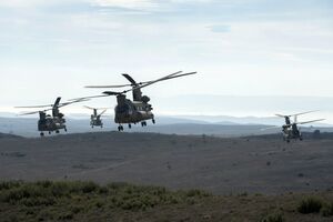 На учениях будут отрабатываться совместные операции союзников по НАТО