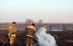 В ноябре борьба с горящими торфяниками в Украине продолжается