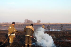 В ноябре борьба с горящими торфяниками в Украине продолжается