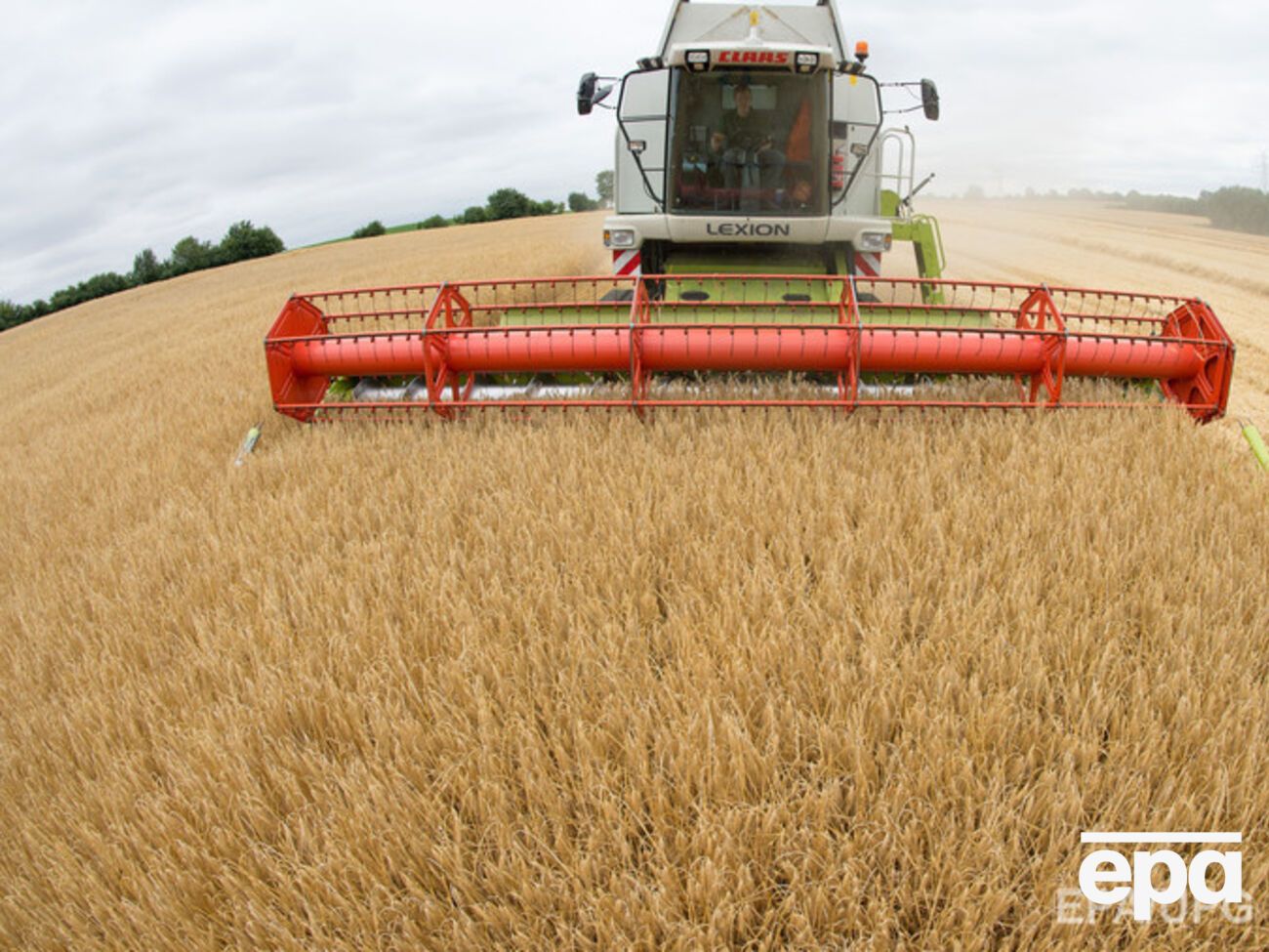 В Одесской области пытались экспортировать зерно от имени умершего директора предприятия