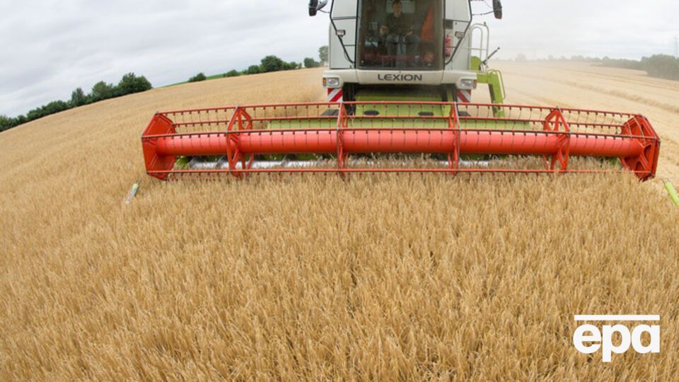 В Одесской области пытались экспортировать зерно от имени умершего директора предприятия