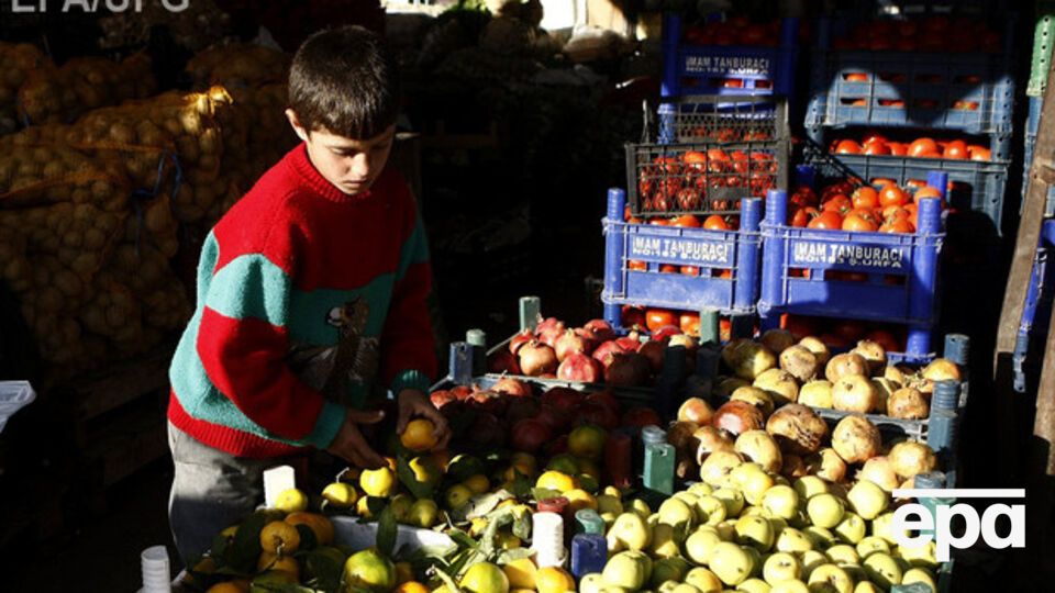 В РФ опубликован список продуктов из Турции, подпадающих под санкции