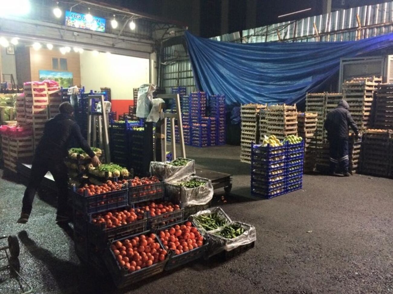 Бочкала: Турецкие фермеры переориентировались с России&nbsp;на Ирак, страны Персидского залива и ЕС