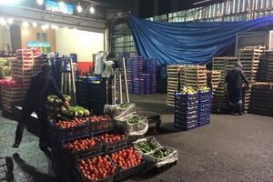 Бочкала: Турецкие фермеры переориентировались с России на Ирак, страны Персидского залива и ЕС