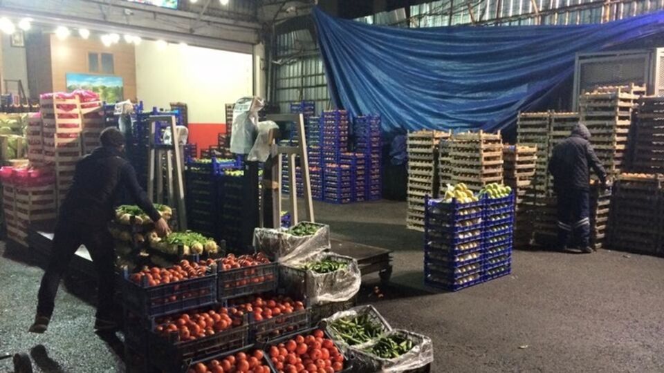 Бочкала: Турецкие фермеры переориентировались с России на Ирак, страны Персидского залива и ЕС