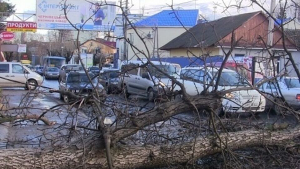 Непогода частично обесточила четыре населенных пункта в Ивано-Франковской области