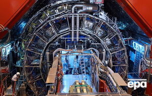 Отчет о проведенных исследованиях будет представлен 15 декабря