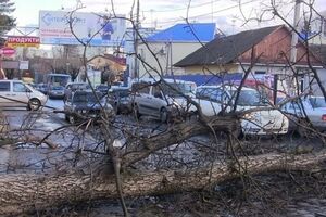 Из-за ветра почти в 150 населенных пунктах люди остались без электричества