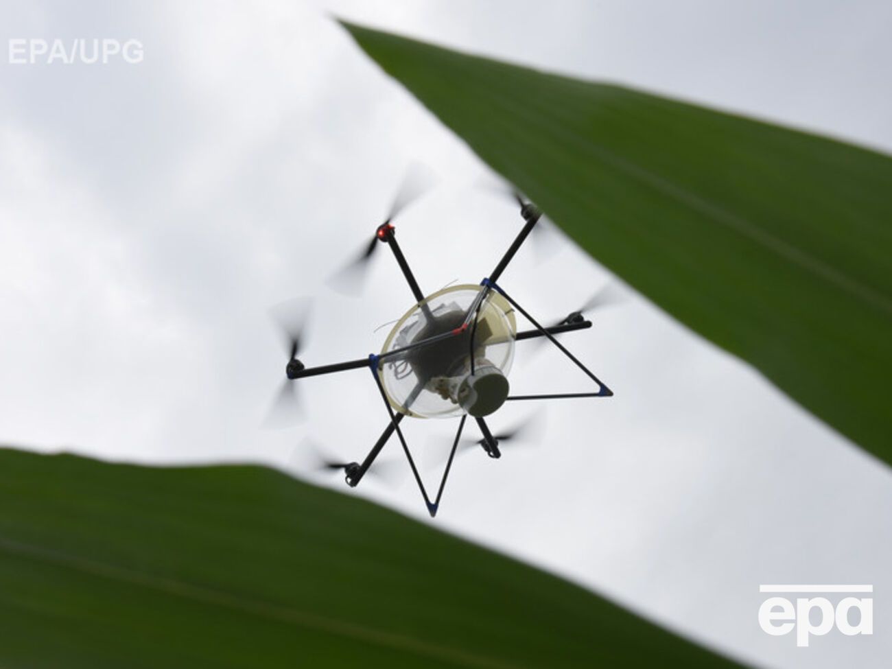 В США ужесточают использование дронов