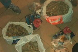 Янтарь был расфасован в полиэтиленовые пакеты