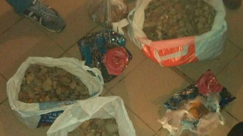 Янтарь был расфасован в полиэтиленовые пакеты