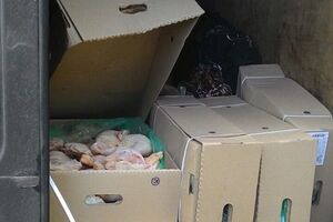 Аброськин: Коммерсантка-контрабандистка на свободе готовится к очередной попытке доставить курятину к новогоднему столу террористов