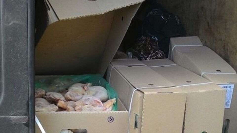 Аброськин: Коммерсантка-контрабандистка на свободе готовится к очередной попытке доставить курятину к новогоднему столу террористов