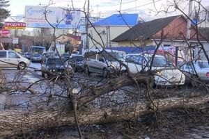 Непогода обесточила 280 населенных пунктов в Украине