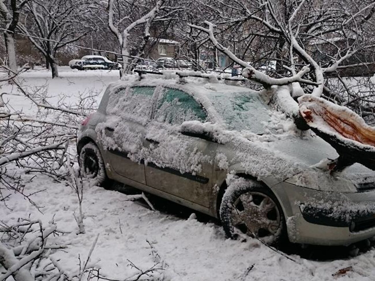 В Харькове выпала половина месячной нормы осадков, повалено более 500 деревьев. Фоторепортаж