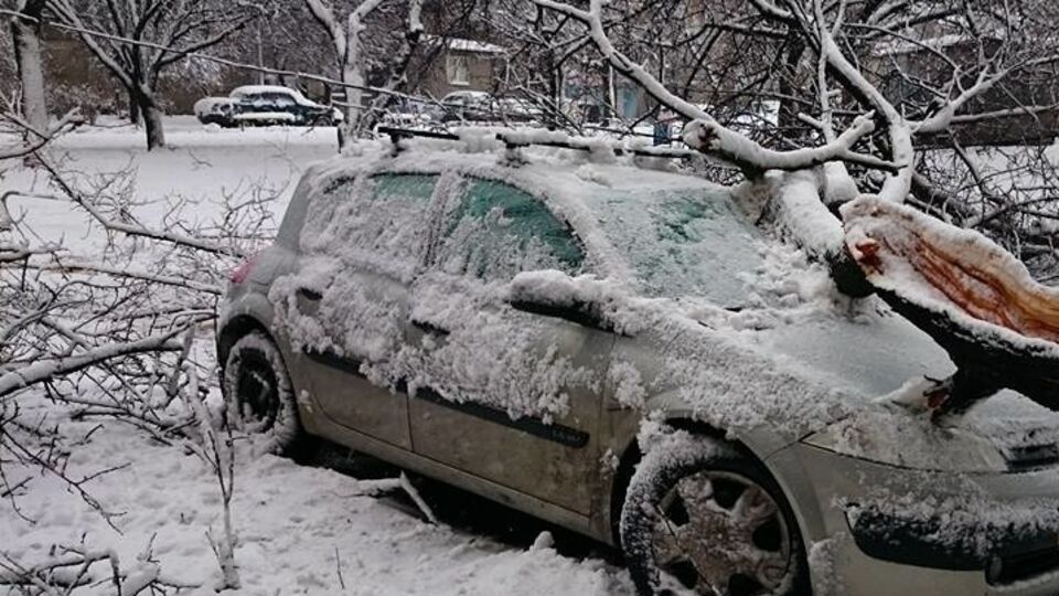 В Харькове выпала половина месячной нормы осадков, повалено более 500 деревьев. Фоторепортаж