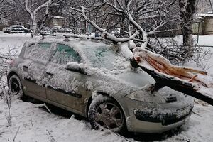 Ветер обрывает ветки и валит целые деревья