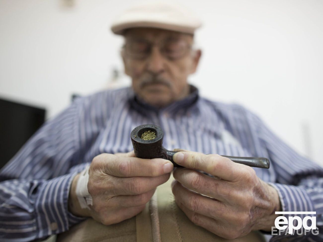 Ученые отметили причастность четырех генов к долгожительству