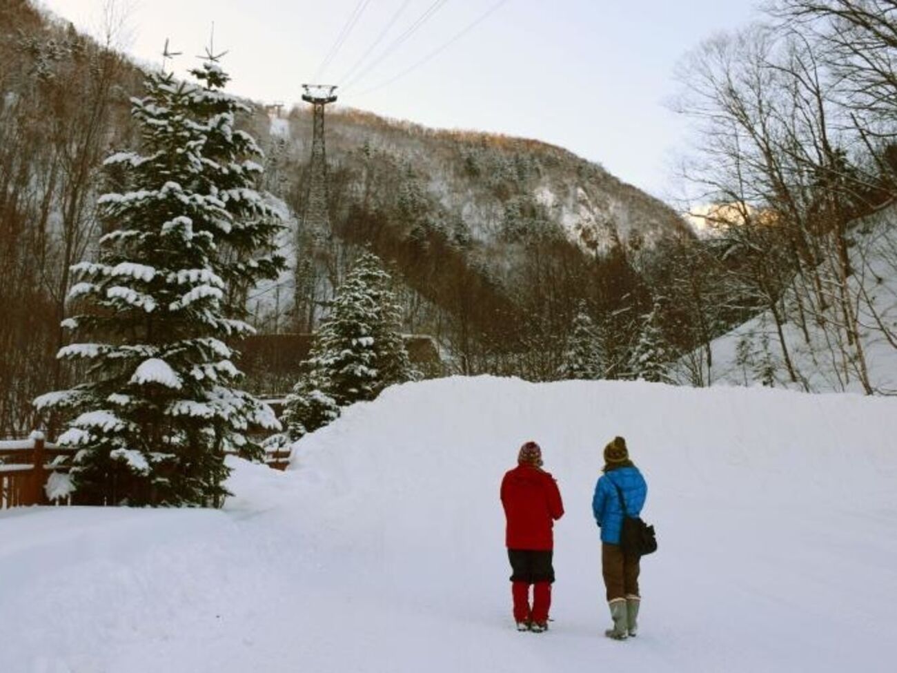 Альпинистка погибла в горах на Хоккайдо