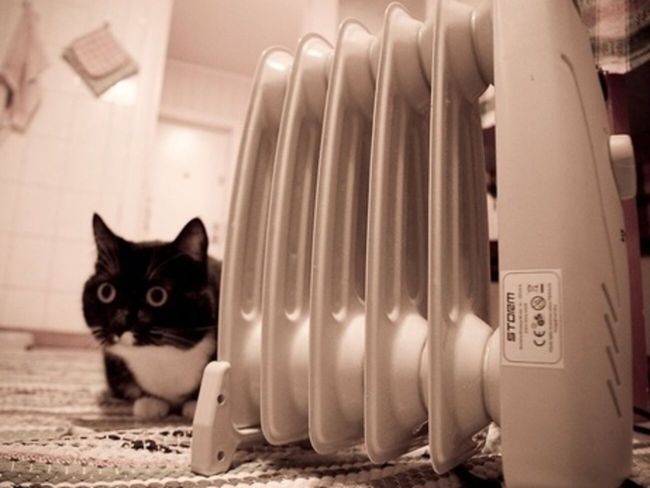 КМУ: Потребители будут платить каждый месяц за фактически потребленные услуги